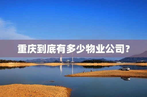 重庆到底有多少物业公司？