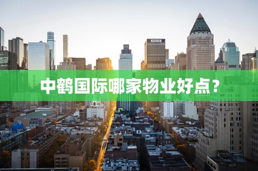 中鹤国际哪家物业好点？