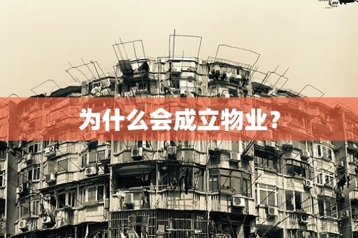 为什么会成立物业？