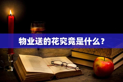 物业送的花究竟是什么？