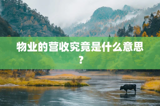 物业的营收究竟是什么意思？