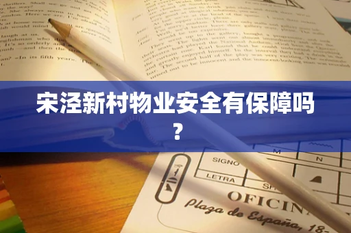 宋泾新村物业安全有保障吗？