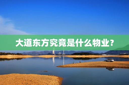 大道东方究竟是什么物业？