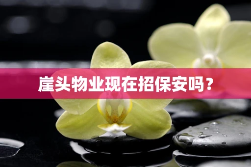 崖头物业现在招保安吗？