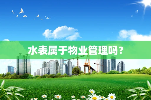 水表属于物业管理吗？
