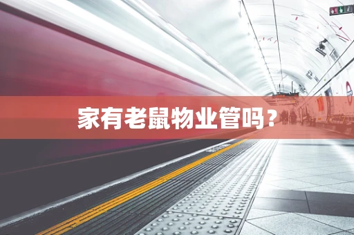 家有老鼠物业管吗？