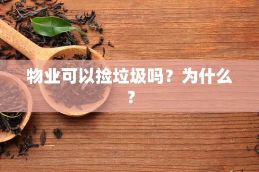 物业可以捡垃圾吗？为什么？