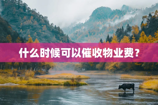 什么时候可以催收物业费？