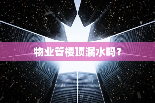 物业管楼顶漏水吗？