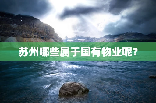 苏州哪些属于国有物业呢？
