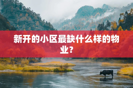 新开的小区最缺什么样的物业？