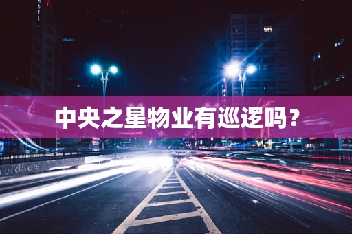 中央之星物业有巡逻吗？