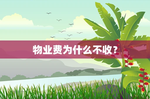 物业费为什么不收？