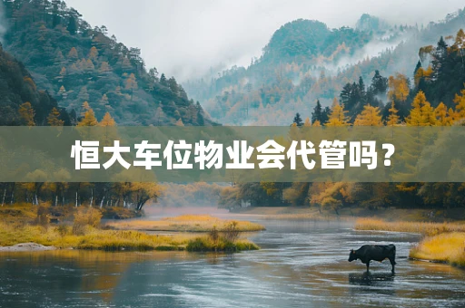 恒大车位物业会代管吗？