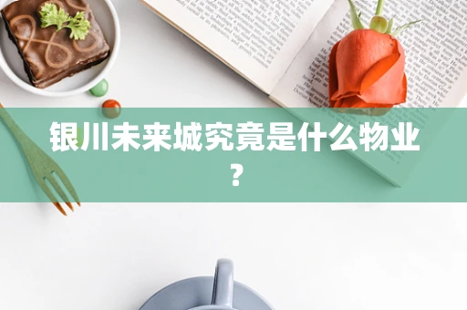 银川未来城究竟是什么物业？