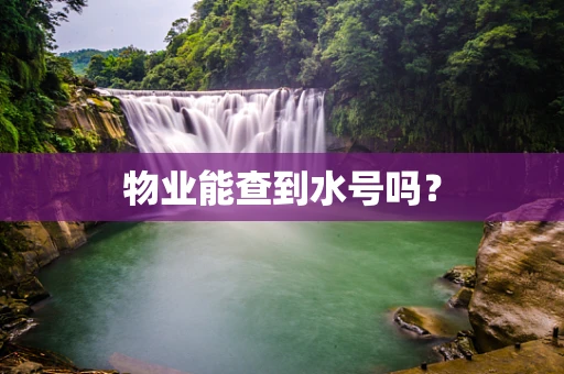 物业能查到水号吗？