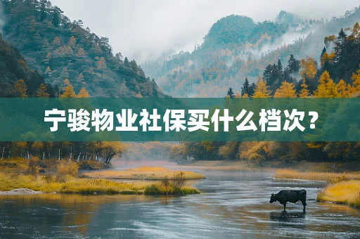 宁骏物业社保买什么档次？