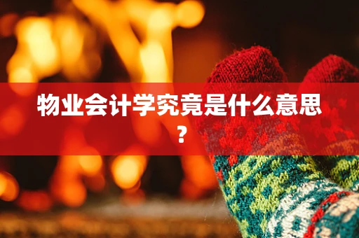物业会计学究竟是什么意思？
