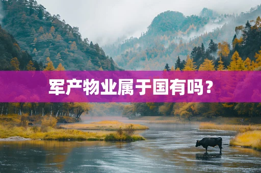 军产物业属于国有吗？