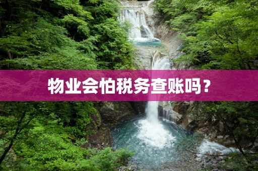 物业会怕税务查账吗？