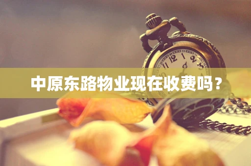 中原东路物业现在收费吗？