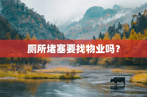 厕所堵塞要找物业吗？