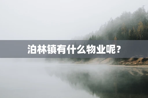 泊林镇有什么物业呢？
