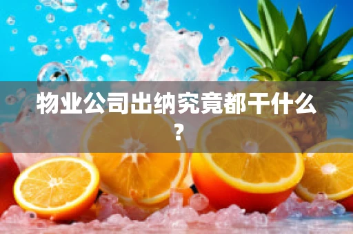 物业公司出纳究竟都干什么？