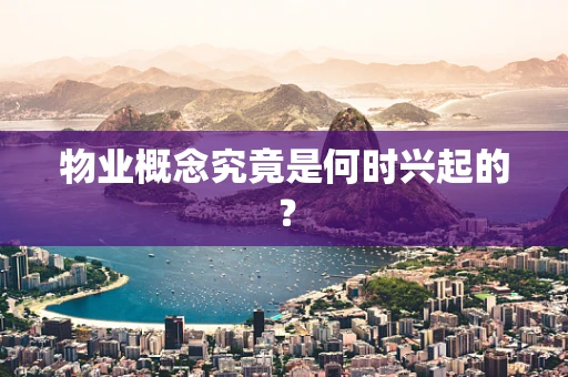 物业概念究竟是何时兴起的？