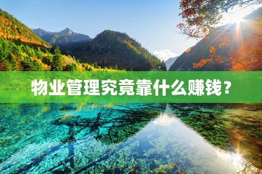 物业管理究竟靠什么赚钱？