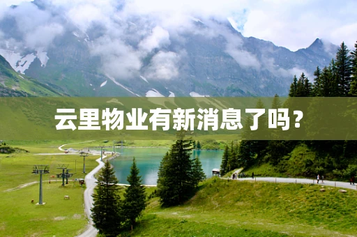 云里物业有新消息了吗？