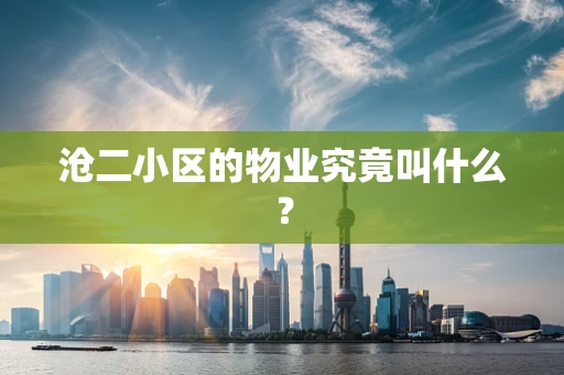 沧二小区的物业究竟叫什么？