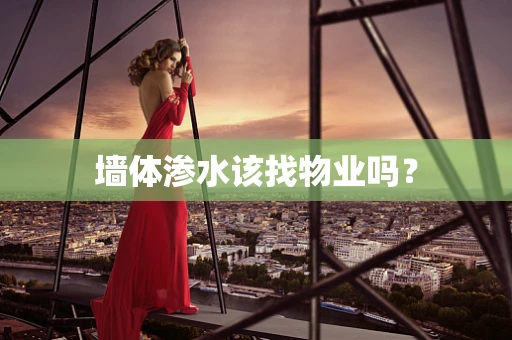 墙体渗水该找物业吗？