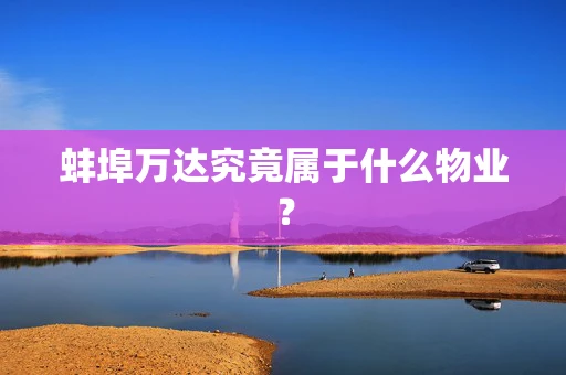 蚌埠万达究竟属于什么物业？