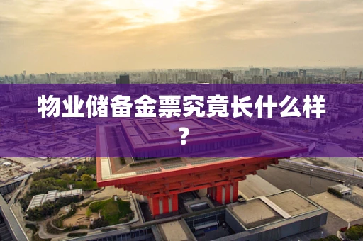 物业储备金票究竟长什么样？
