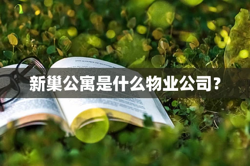 新巢公寓是什么物业公司？