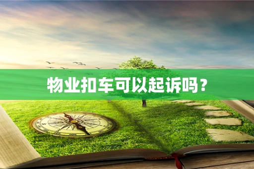 物业扣车可以起诉吗？