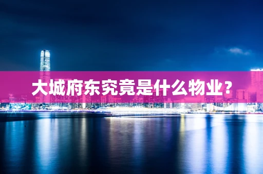 大城府东究竟是什么物业？