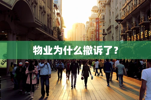 物业为什么撤诉了？
