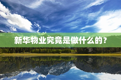 新华物业究竟是做什么的？