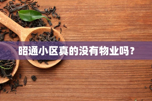 昭通小区真的没有物业吗？