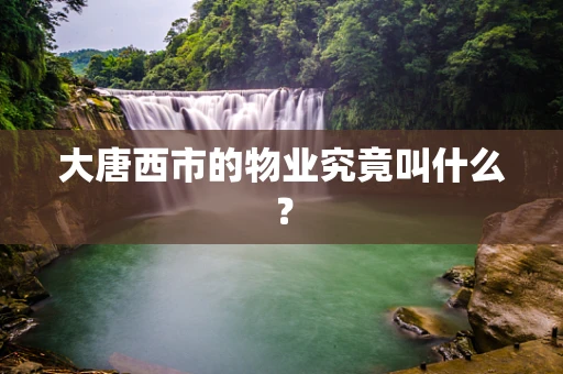 大唐西市的物业究竟叫什么？