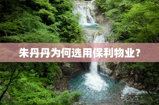 朱丹丹为何选用保利物业？