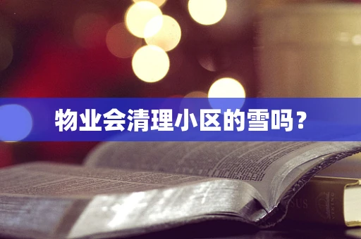 物业会清理小区的雪吗？