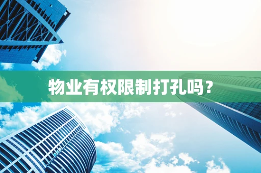物业有权限制打孔吗？