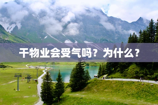 干物业会受气吗？为什么？