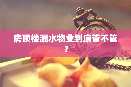 房顶楼漏水物业到底管不管？