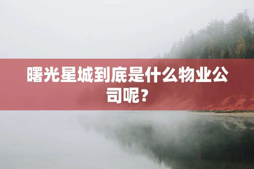 曙光星城到底是什么物业公司呢？