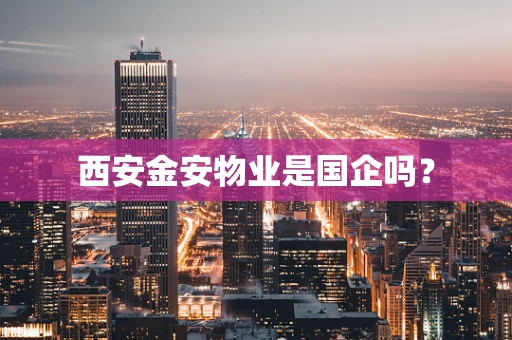 西安金安物业是国企吗？