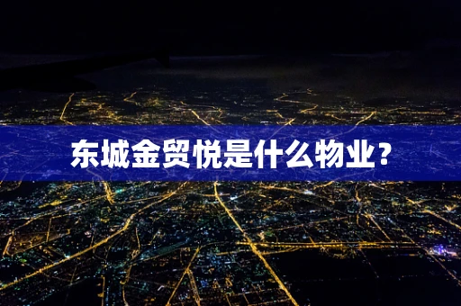 东城金贸悦是什么物业？